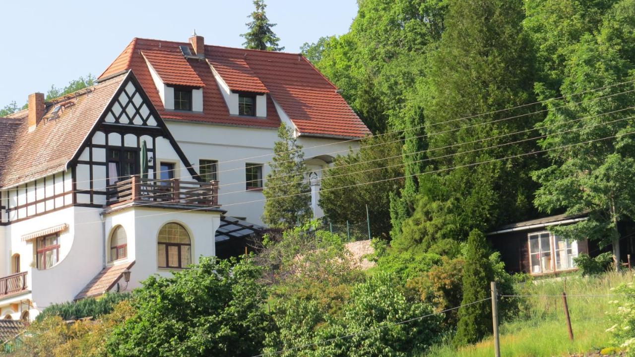 Ferienhaus Elbsommer Am Weinberg II Майсен Екстериор снимка