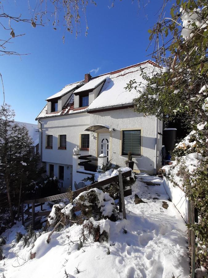 Ferienhaus Elbsommer Am Weinberg II Майсен Екстериор снимка