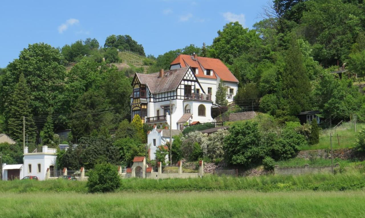 Ferienhaus Elbsommer Am Weinberg II Майсен Екстериор снимка