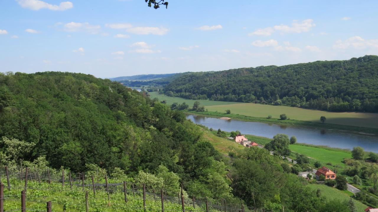 Ferienhaus Elbsommer Am Weinberg II Майсен Екстериор снимка